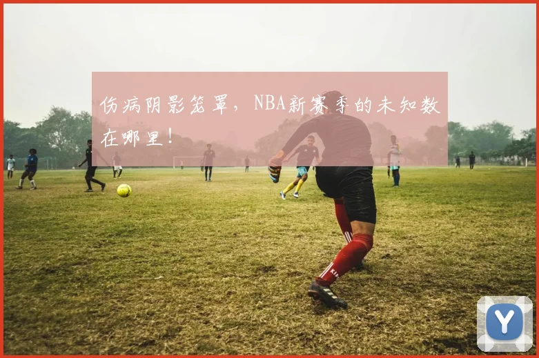 伤病阴影笼罩，NBA新赛季的未知数在哪里！
