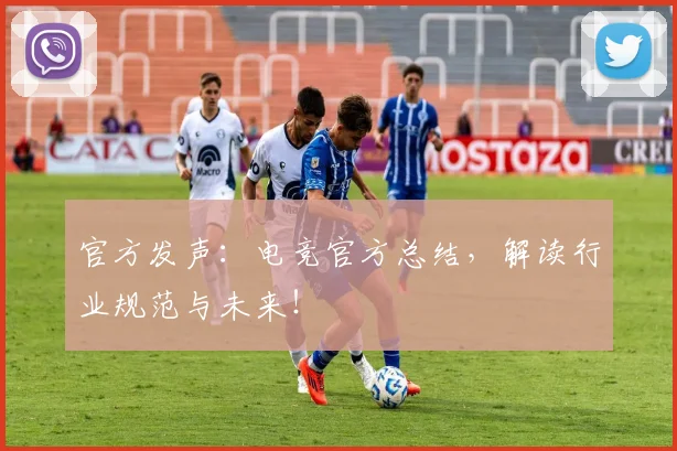 官方发声：电竞官方总结，解读行业规范与未来！